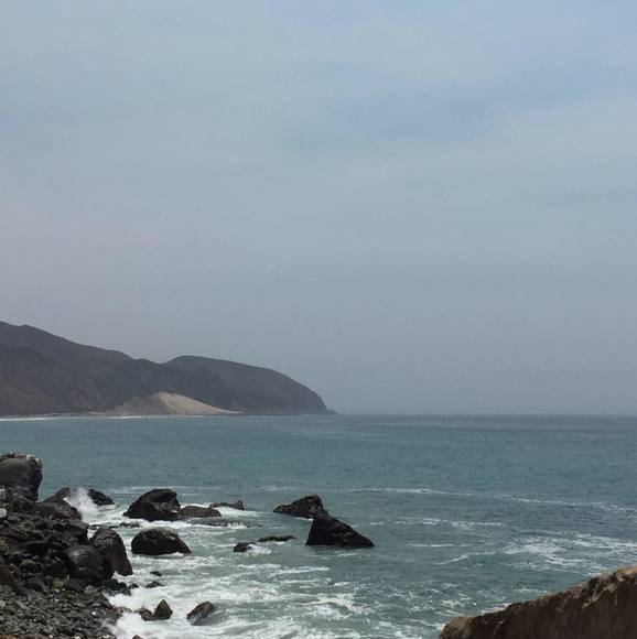 Meet your Posher, Ruthy - Picture 1 of 1